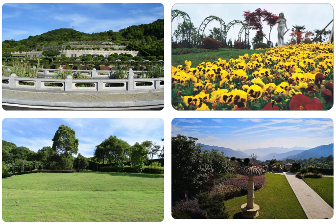 122cc太阳集成游戏(中国)有限公司官网