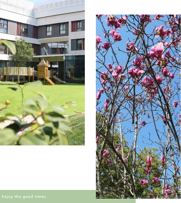 122cc太阳集成游戏(中国)有限公司官网