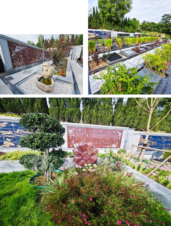 122cc太阳集成游戏(中国)有限公司官网