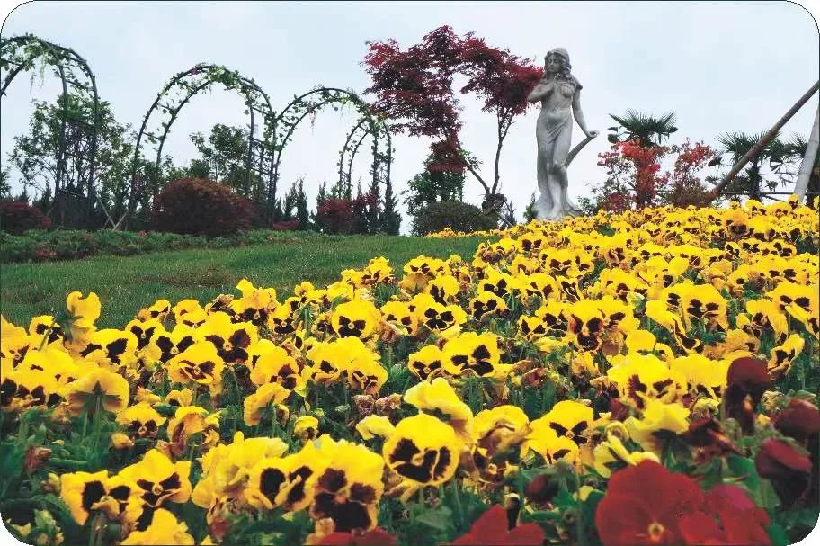 122cc太阳集成游戏(中国)有限公司官网