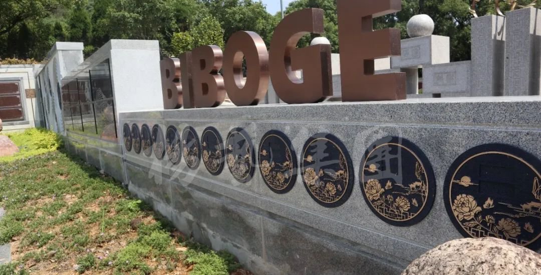 122cc太阳集成游戏(中国)有限公司官网