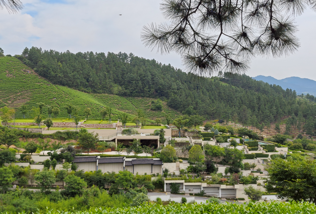 122cc太阳集成游戏(中国)有限公司官网