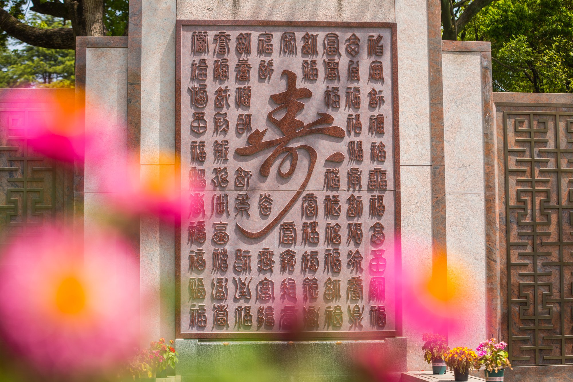 122cc太阳集成游戏(中国)有限公司官网