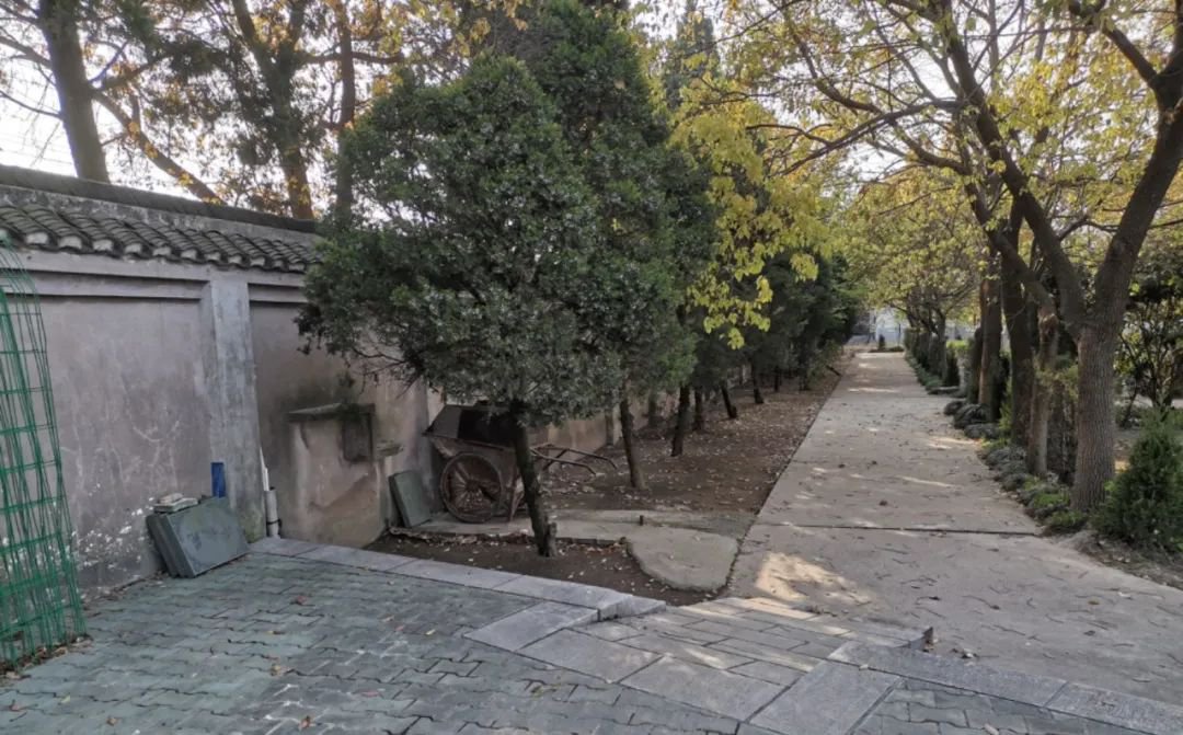 122cc太阳集成游戏(中国)有限公司官网