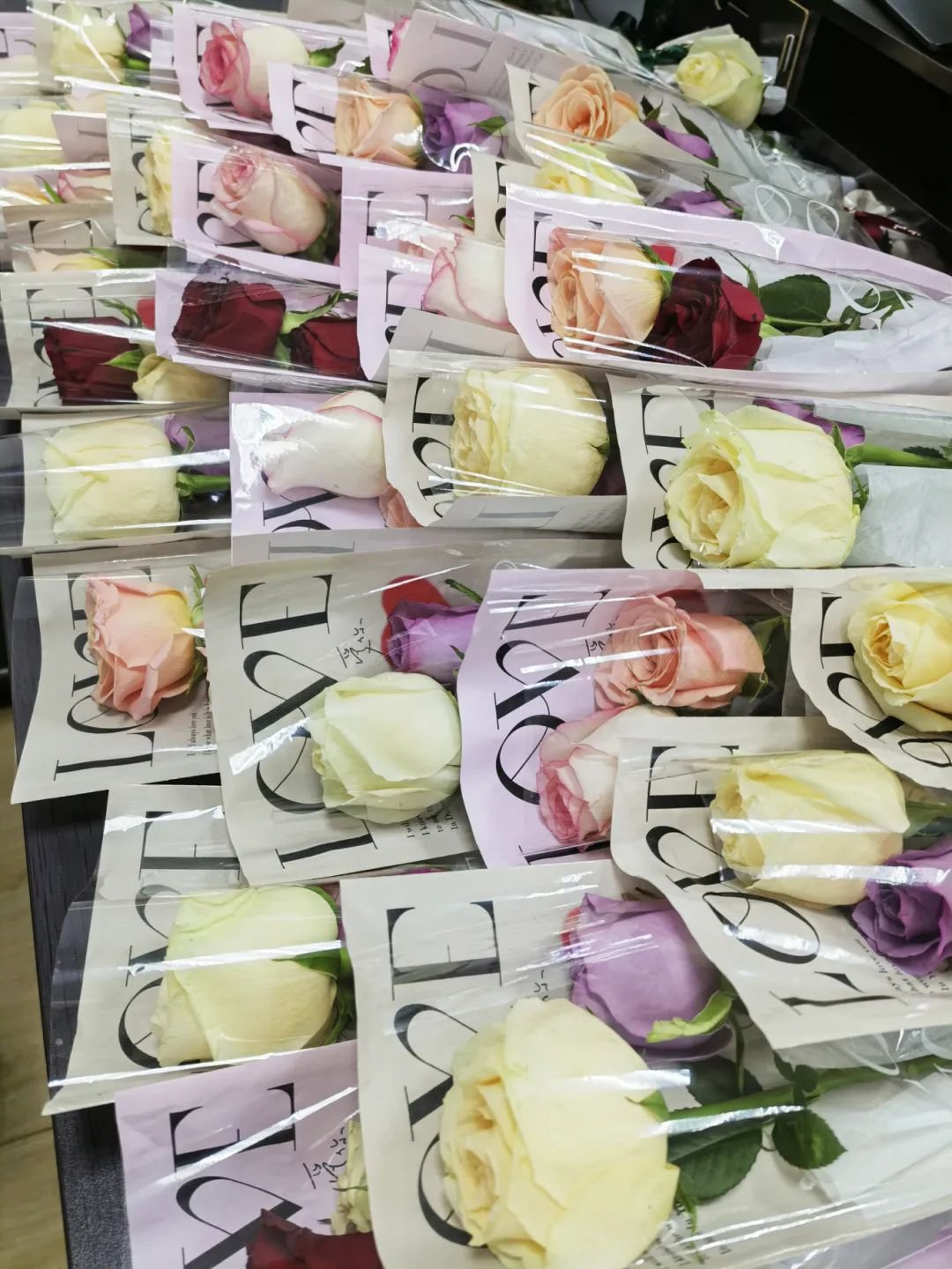 122cc太阳集成游戏(中国)有限公司官网