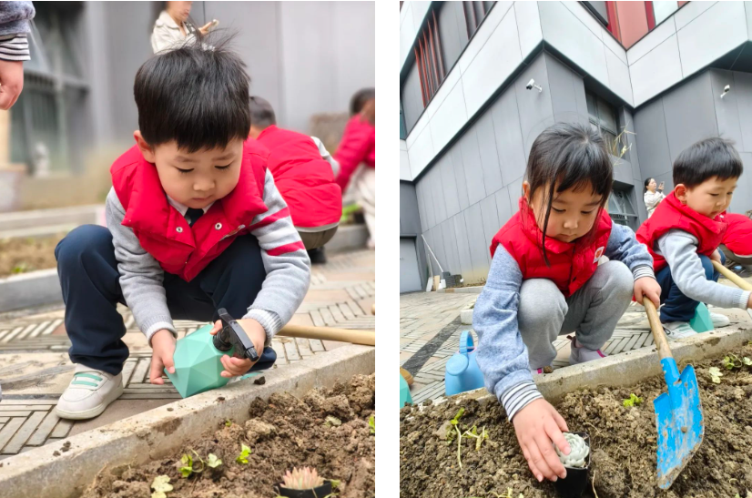 122cc太阳集成游戏(中国)有限公司官网