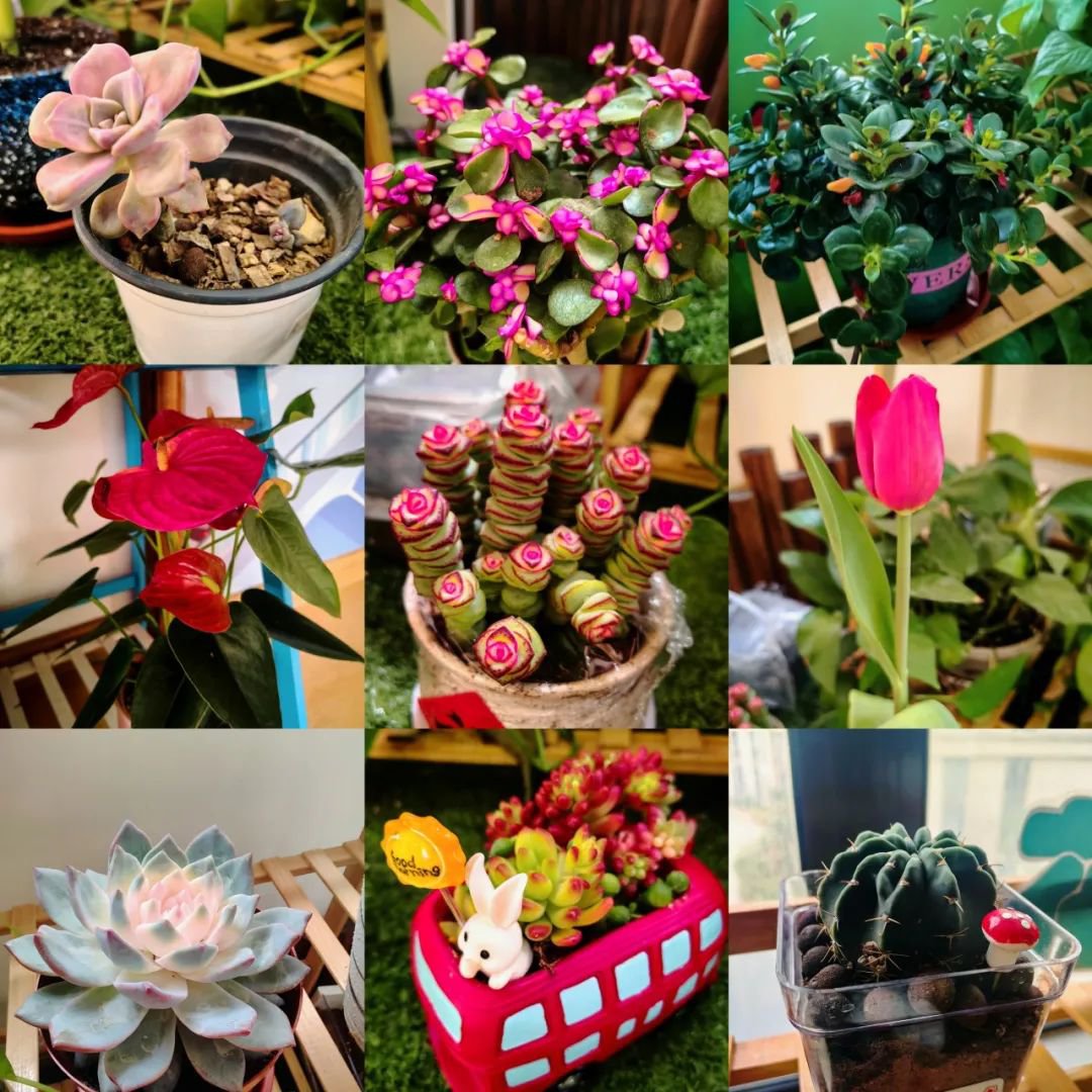 122cc太阳集成游戏(中国)有限公司官网