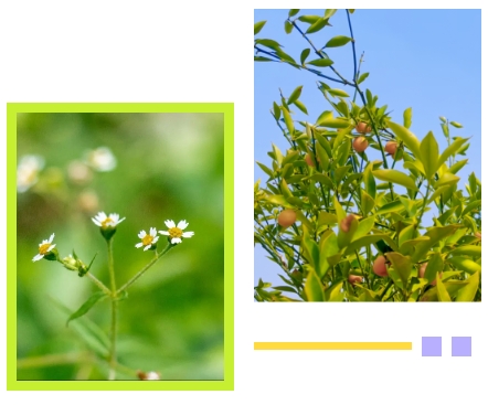 122cc太阳集成游戏(中国)有限公司官网