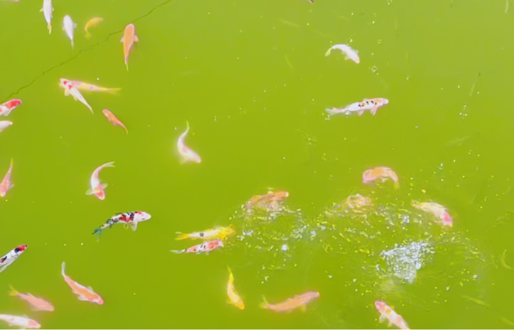 122cc太阳集成游戏(中国)有限公司官网