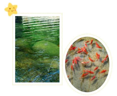 122cc太阳集成游戏(中国)有限公司官网