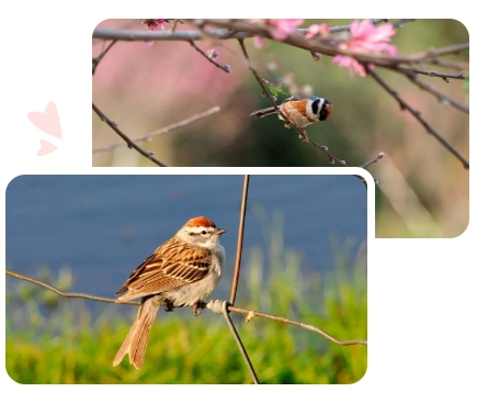 122cc太阳集成游戏(中国)有限公司官网