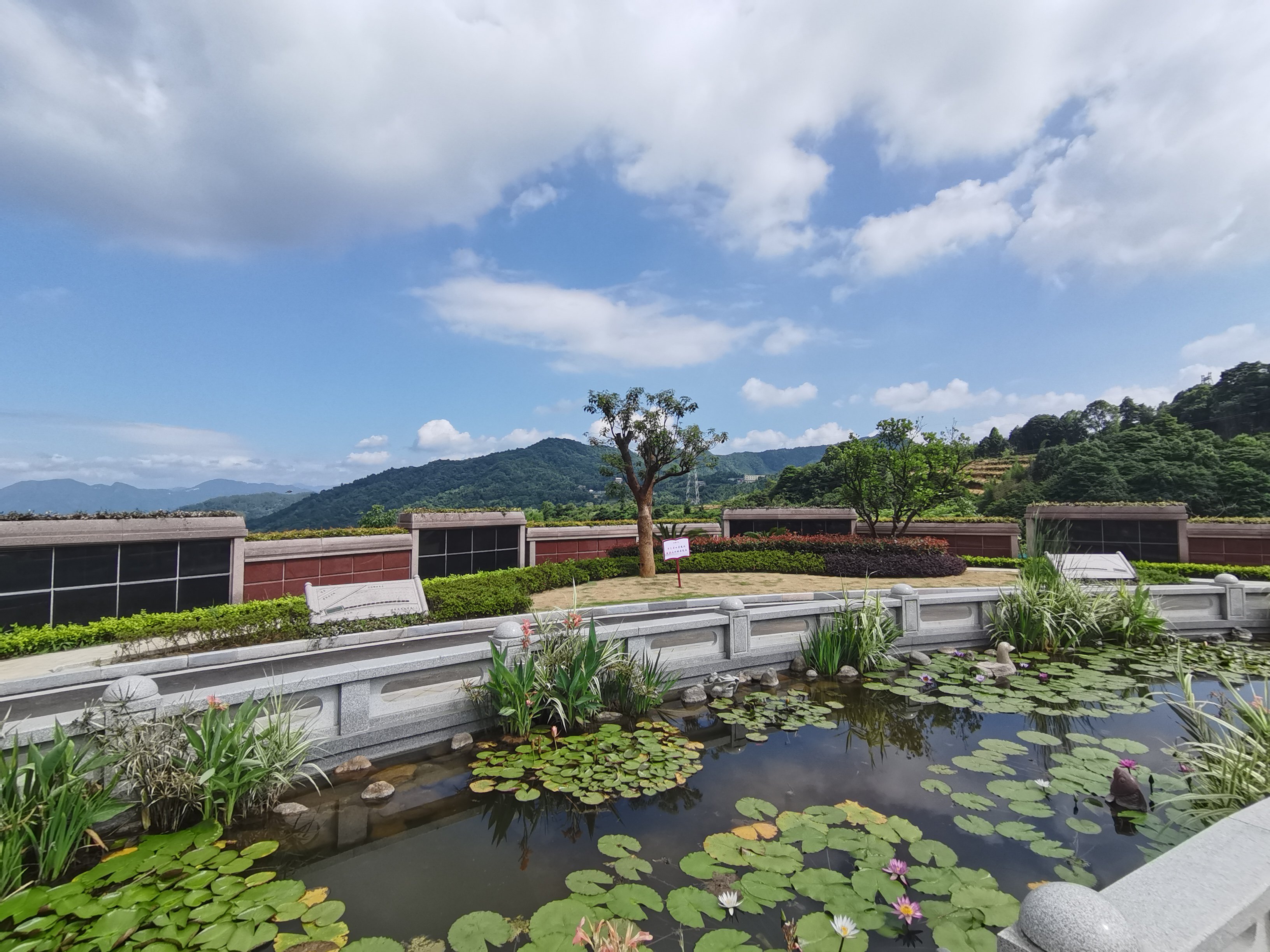 122cc太阳集成游戏(中国)有限公司官网