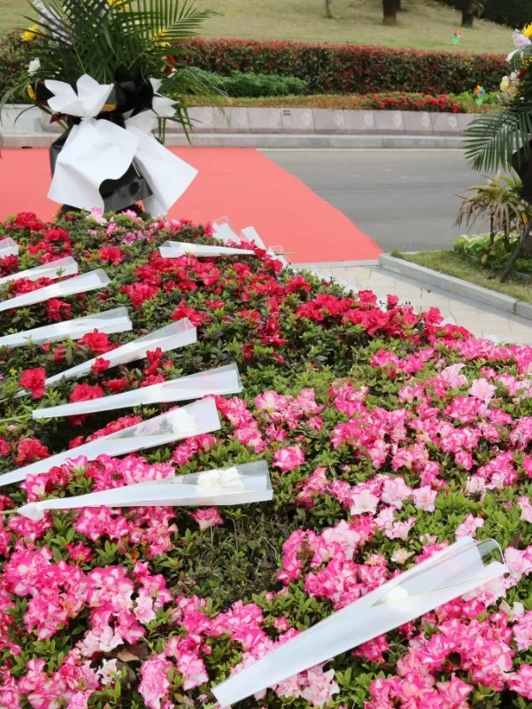 122cc太阳集成游戏(中国)有限公司官网