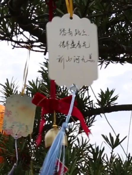 122cc太阳集成游戏(中国)有限公司官网