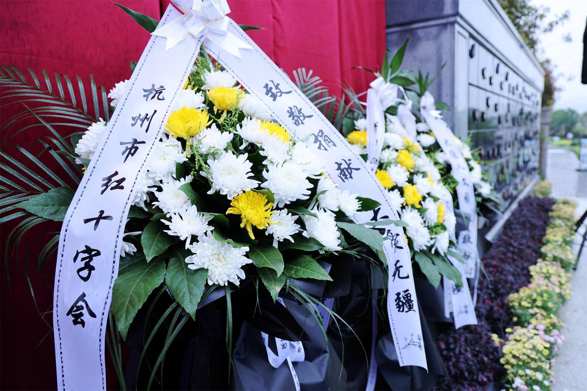 122cc太阳集成游戏(中国)有限公司官网