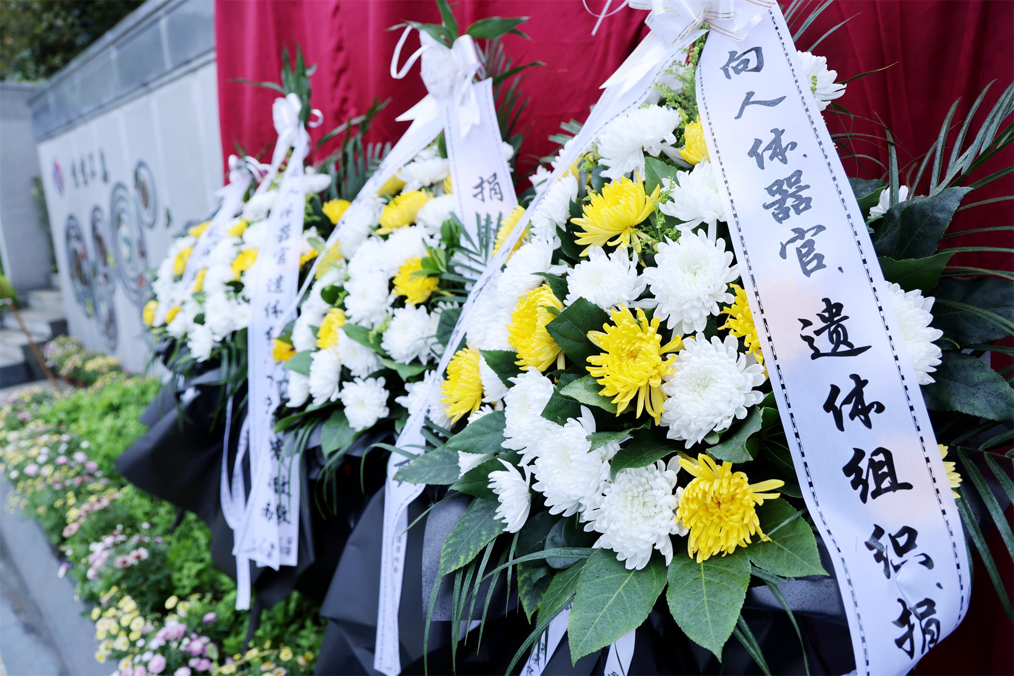 122cc太阳集成游戏(中国)有限公司官网