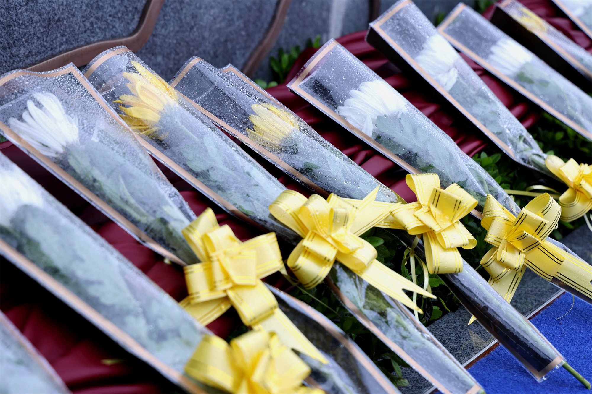 122cc太阳集成游戏(中国)有限公司官网