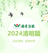 风起清明 遥寄相思|122cc太阳集成游戏集团?2024清明篇