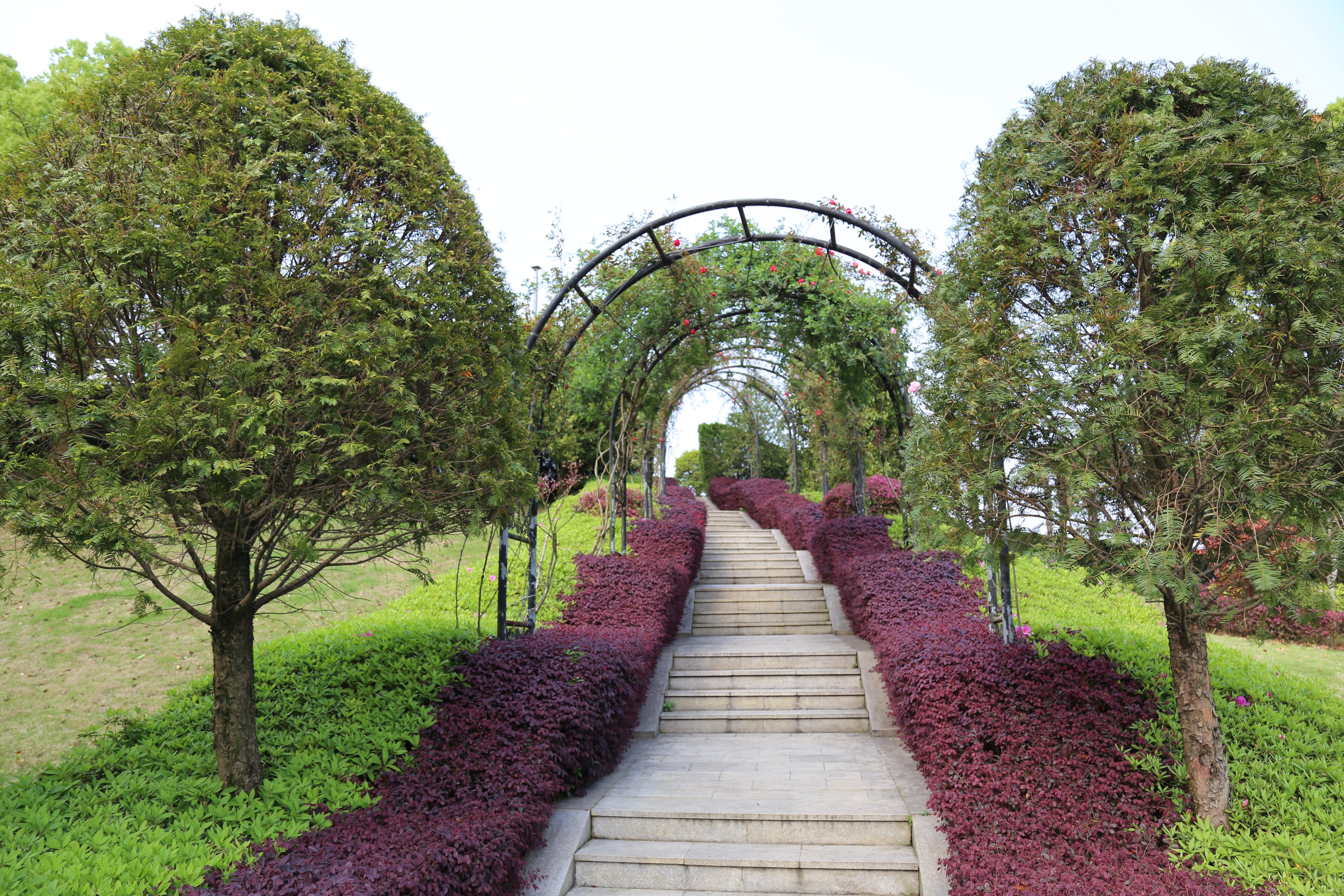 122cc太阳集成游戏(中国)有限公司官网