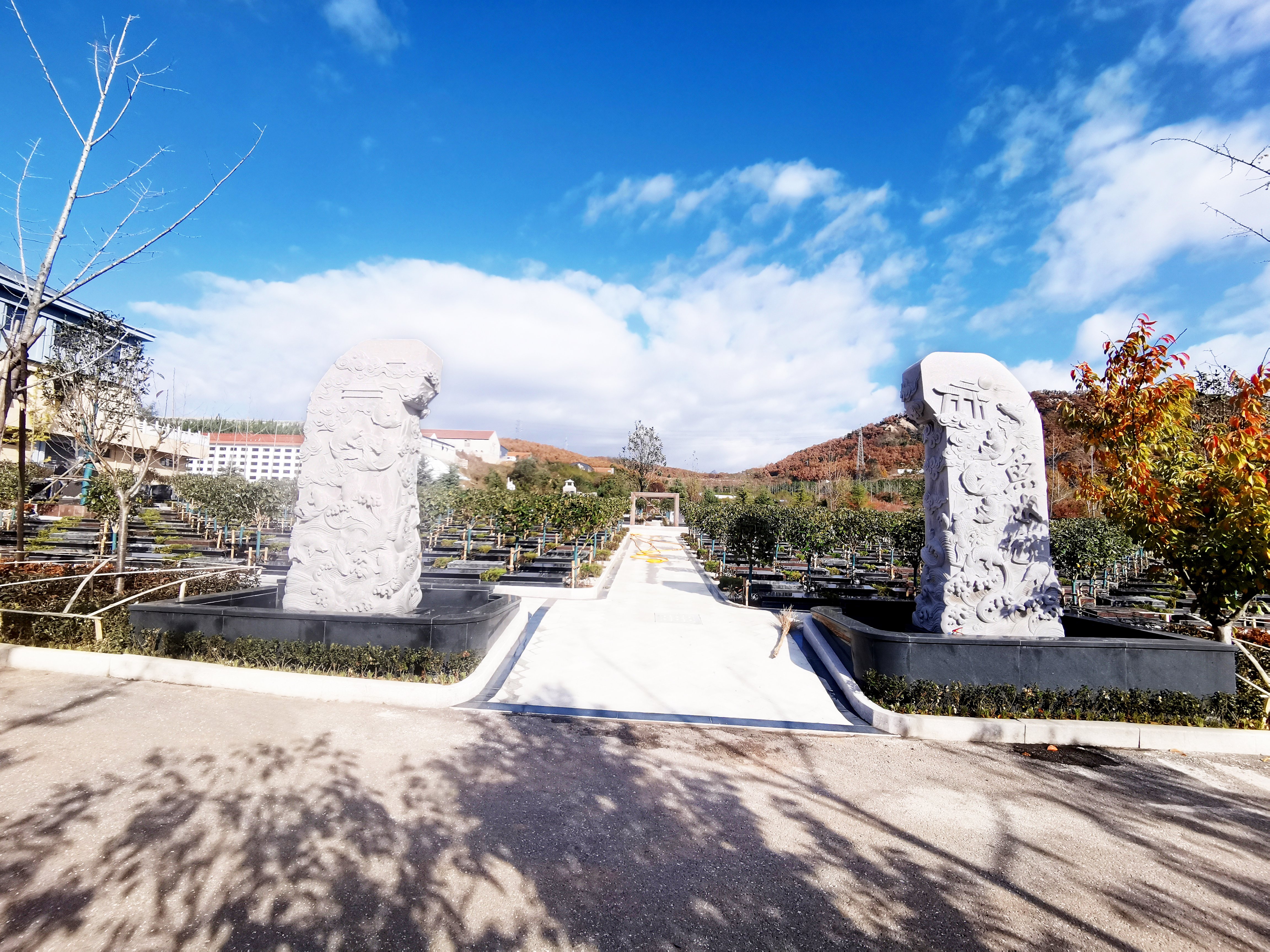 122cc太阳集成游戏(中国)有限公司官网