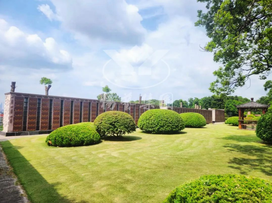 122cc太阳集成游戏(中国)有限公司官网