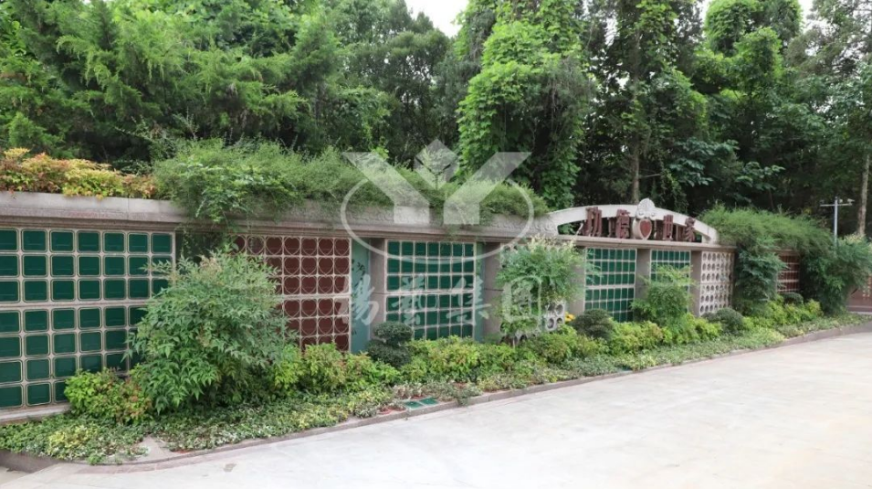 122cc太阳集成游戏(中国)有限公司官网