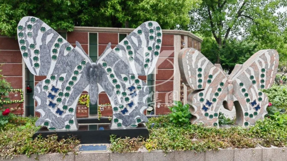 122cc太阳集成游戏(中国)有限公司官网