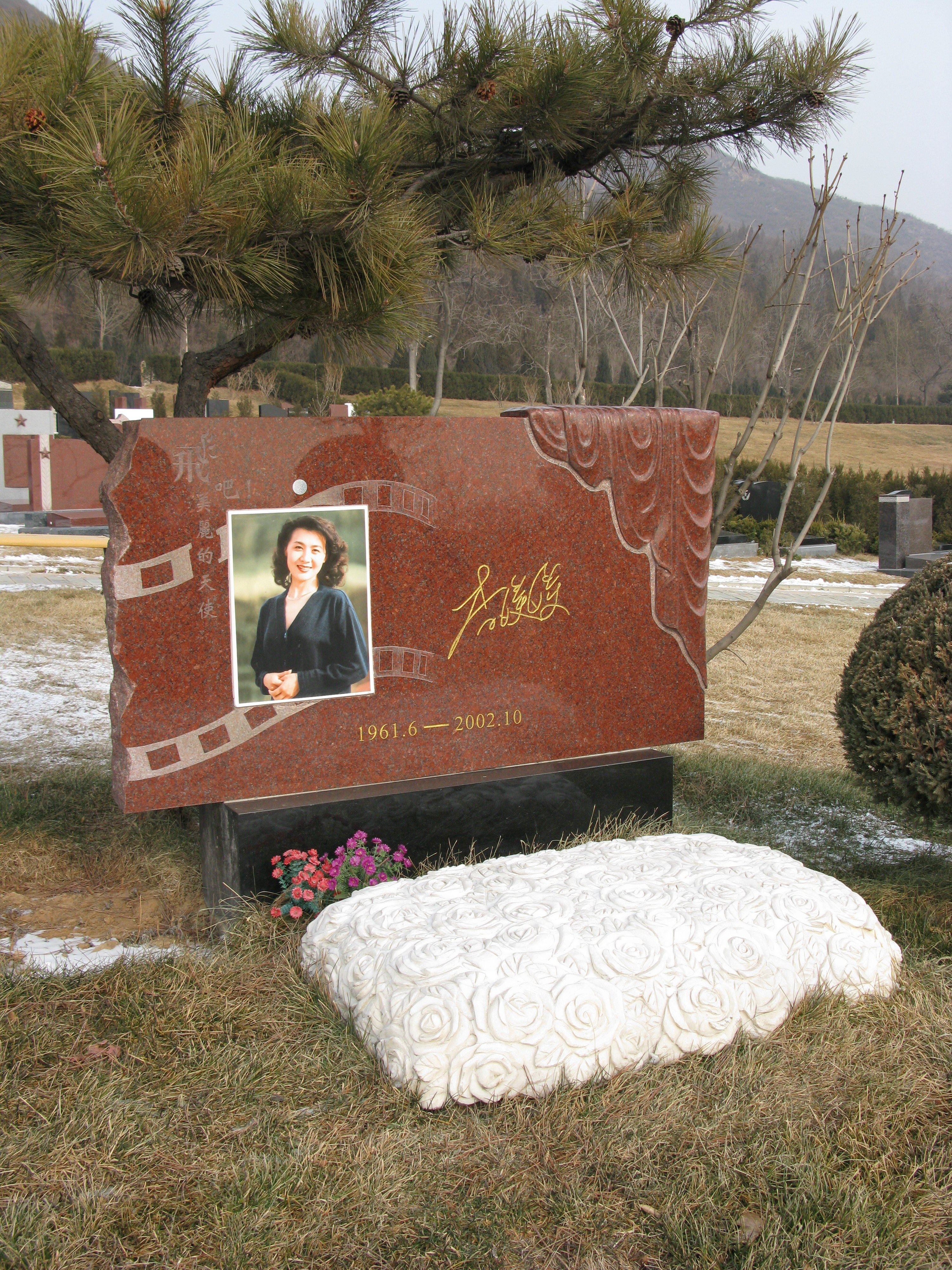 122cc太阳集成游戏(中国)有限公司官网