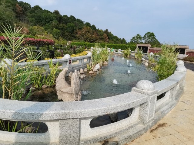 122cc太阳集成游戏(中国)有限公司官网