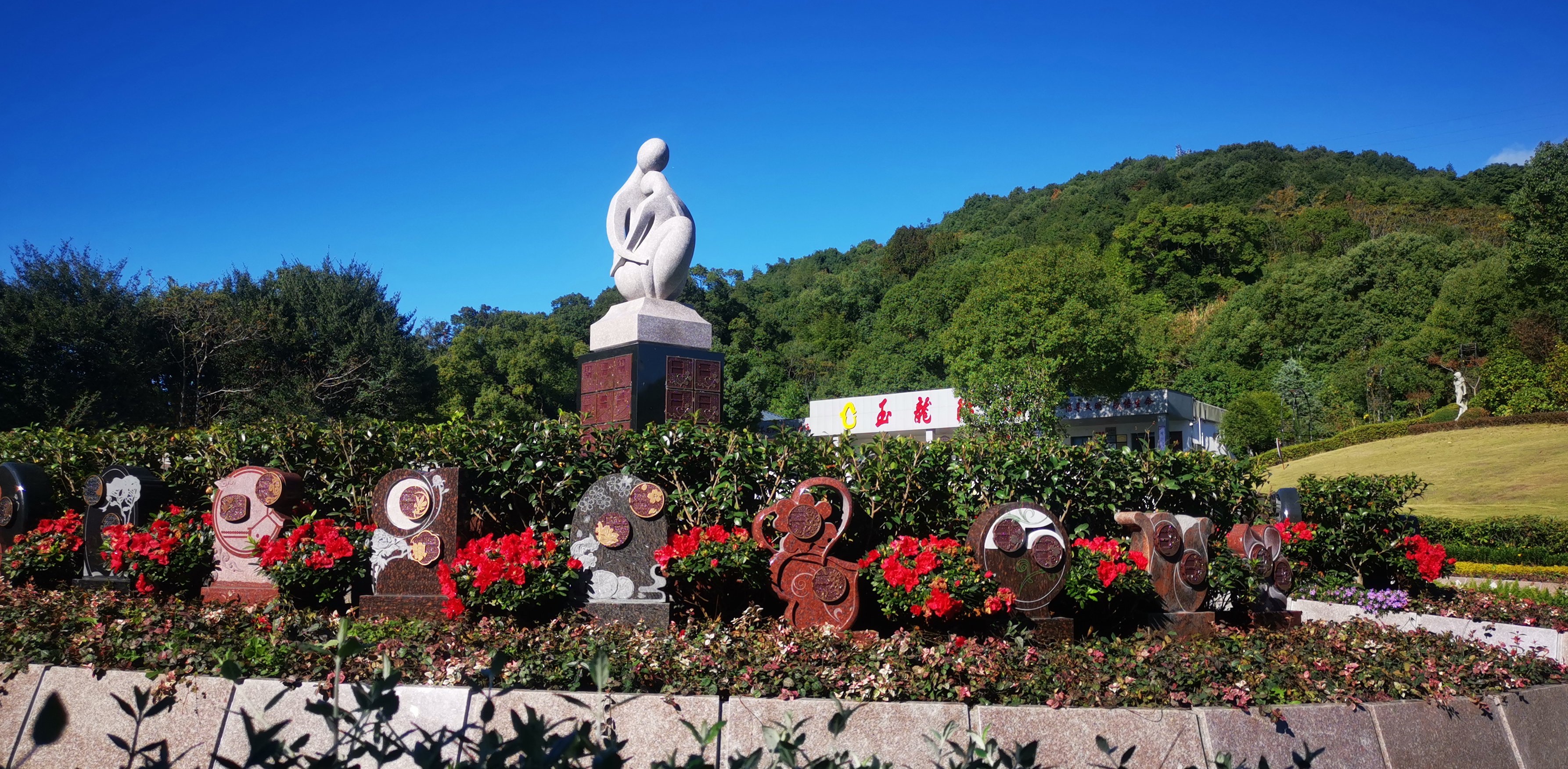 122cc太阳集成游戏(中国)有限公司官网