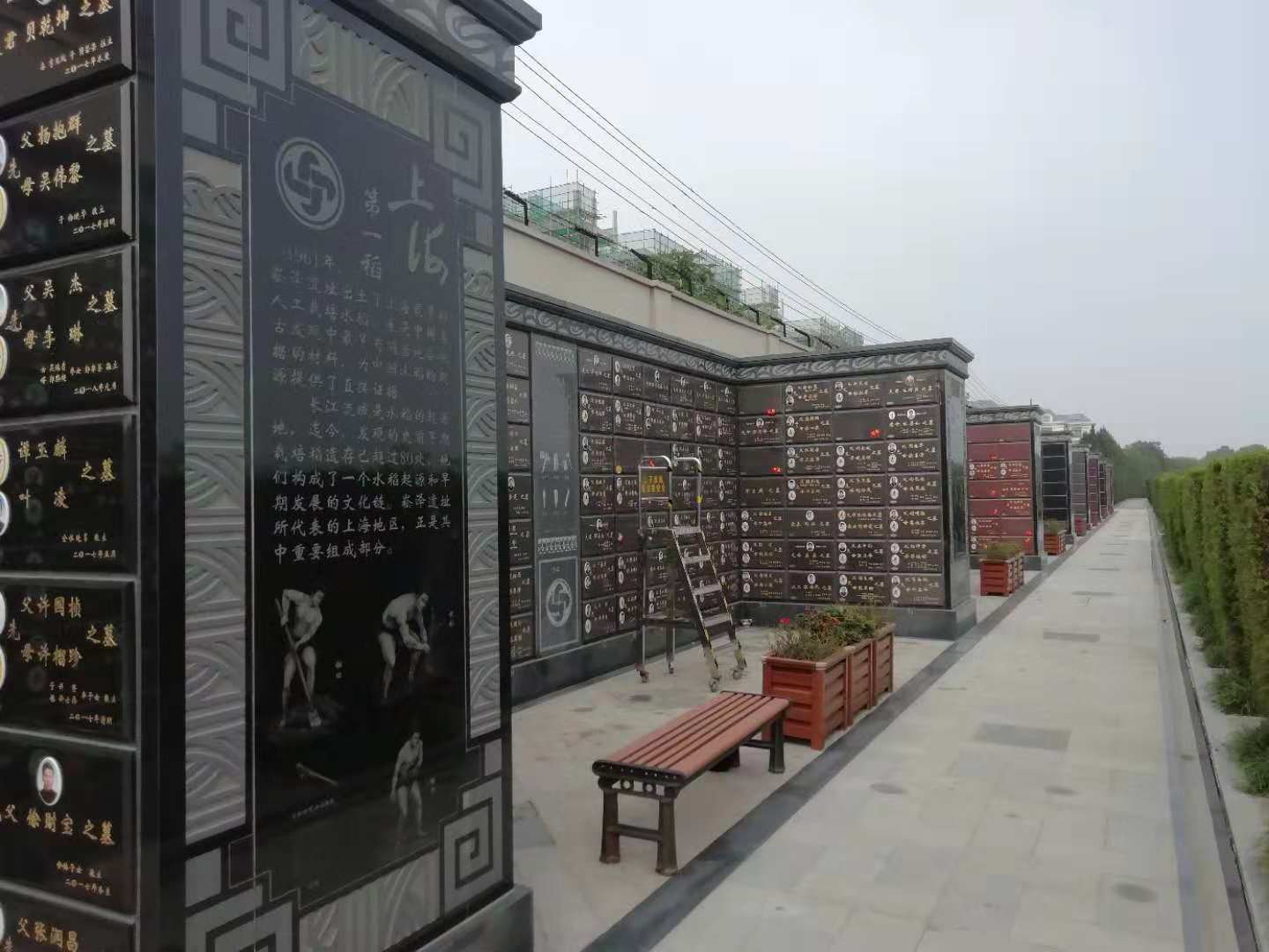 122cc太阳集成游戏(中国)有限公司官网