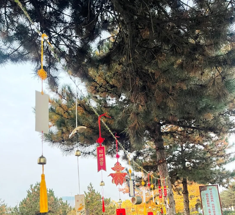 122cc太阳集成游戏(中国)有限公司官网