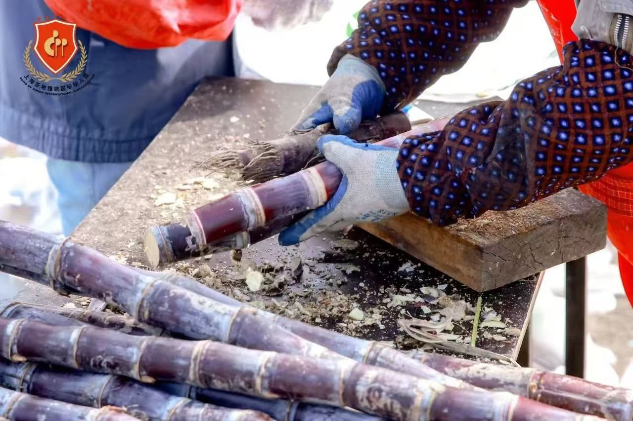 122cc太阳集成游戏(中国)有限公司官网