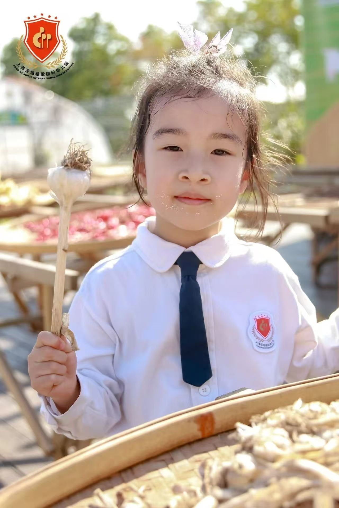 122cc太阳集成游戏(中国)有限公司官网