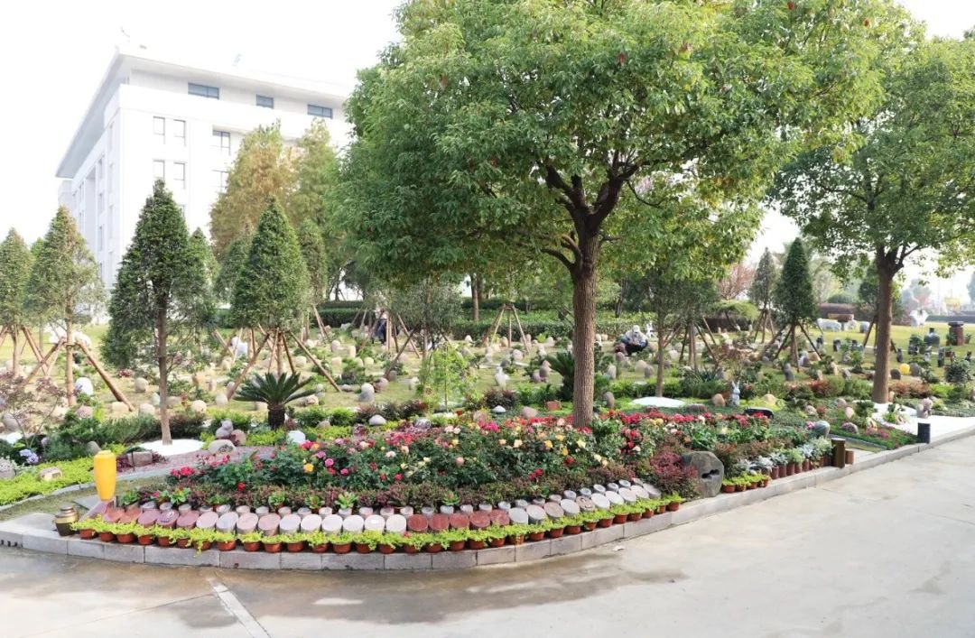 122cc太阳集成游戏(中国)有限公司官网