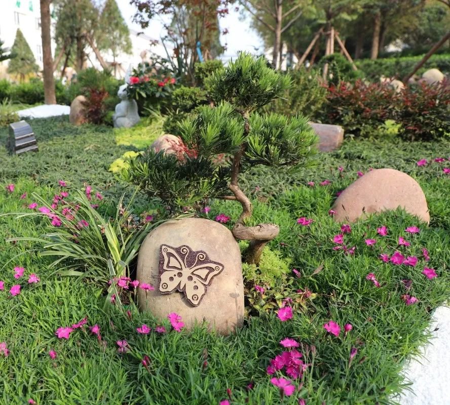 122cc太阳集成游戏(中国)有限公司官网