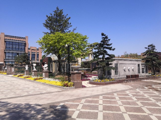 122cc太阳集成游戏(中国)有限公司官网