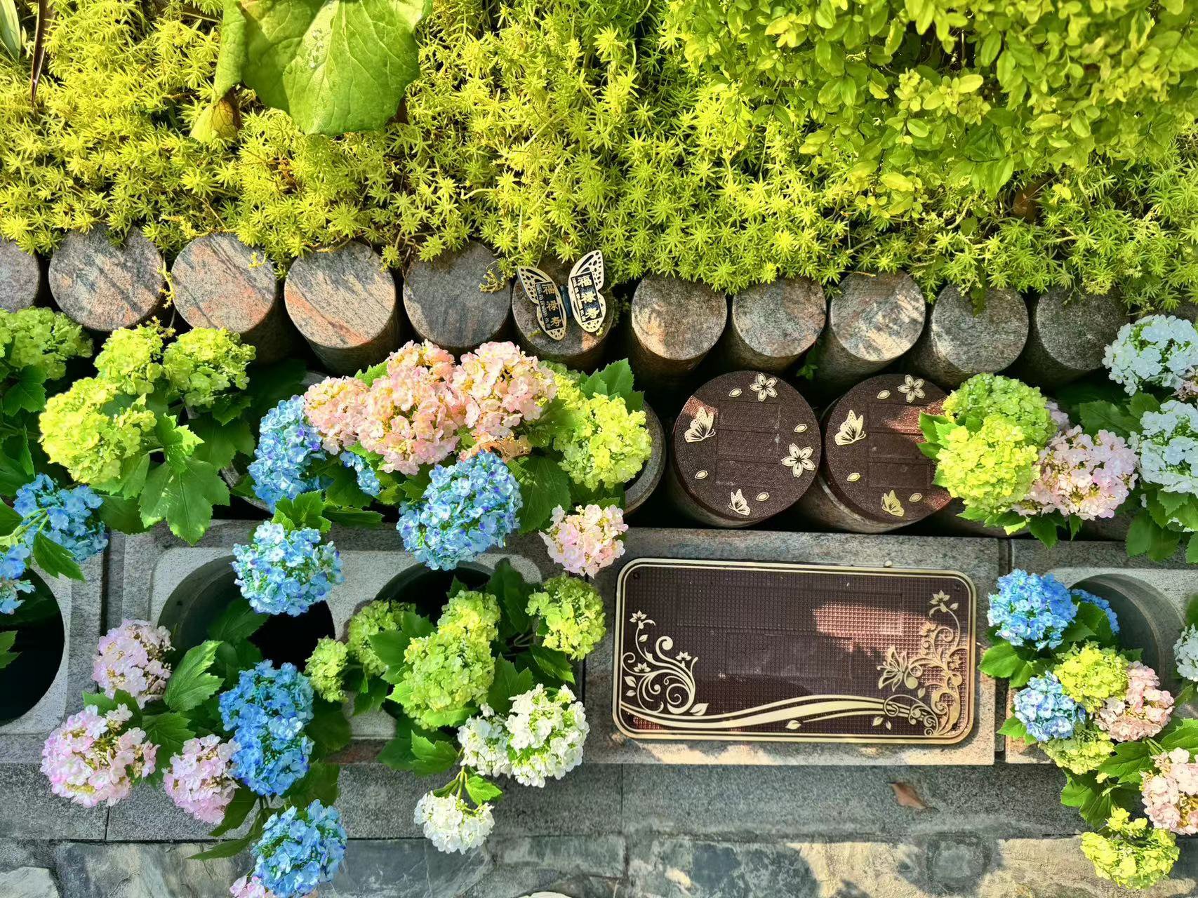 122cc太阳集成游戏(中国)有限公司官网