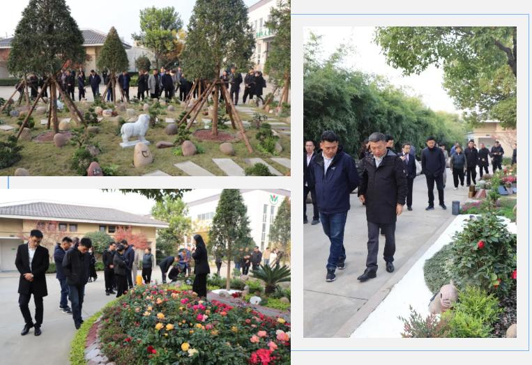 122cc太阳集成游戏(中国)有限公司官网