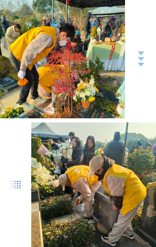 122cc太阳集成游戏(中国)有限公司官网