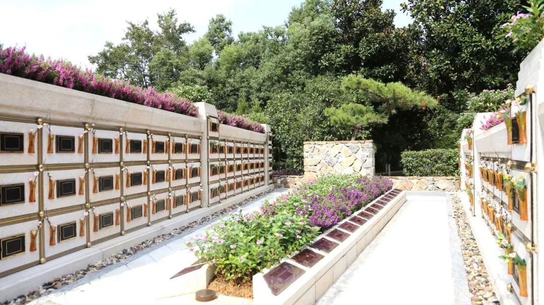 <b>在合肥大蜀山文化陵园，，，与生命温柔对话</b>