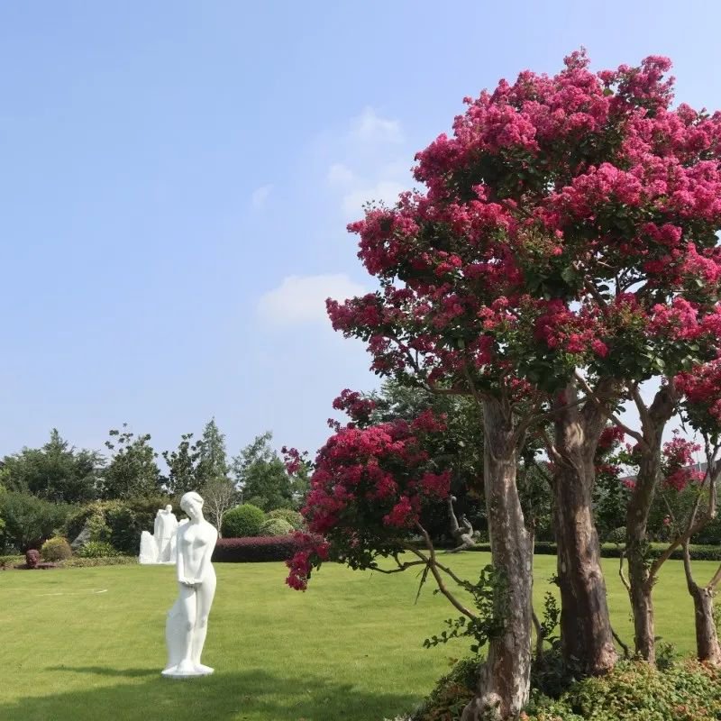 122cc太阳集成游戏(中国)有限公司官网