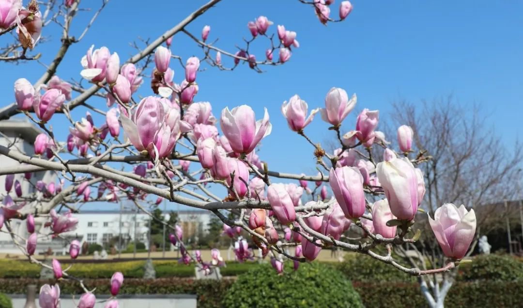 122cc太阳集成游戏(中国)有限公司官网