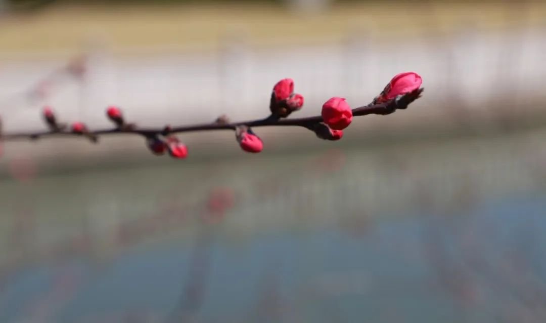 122cc太阳集成游戏(中国)有限公司官网