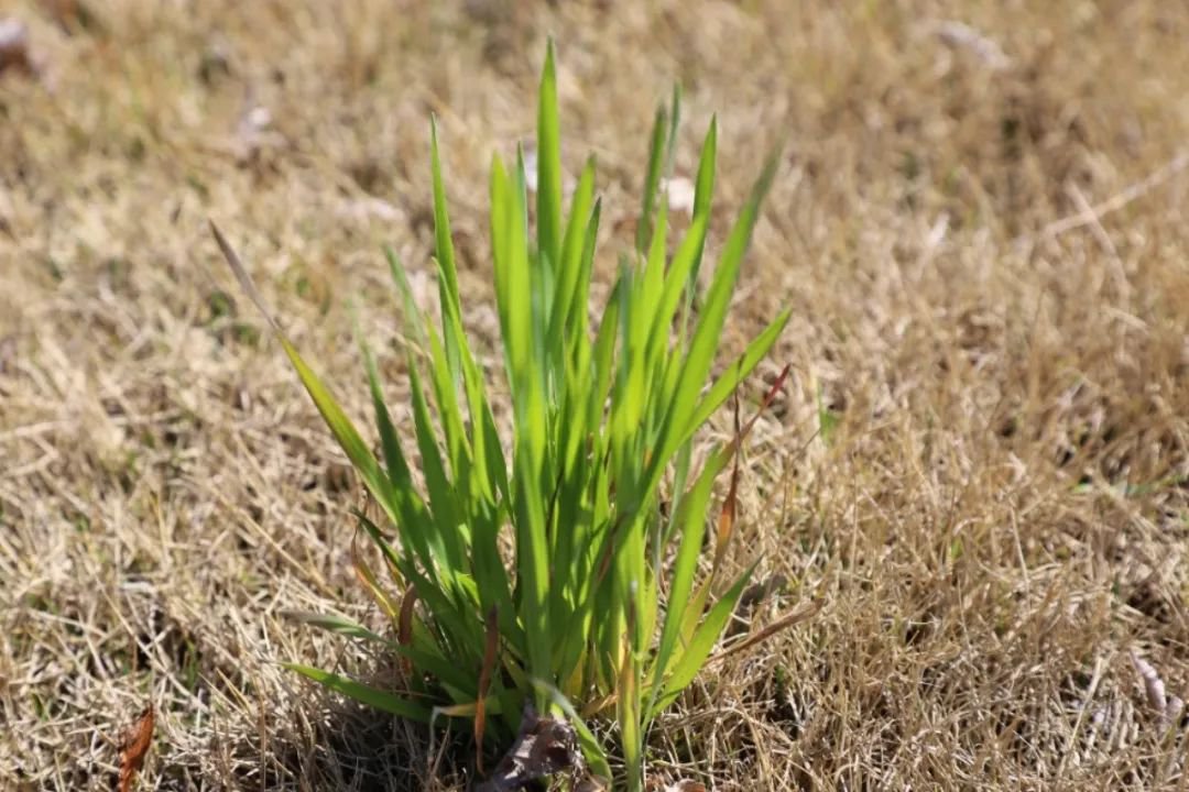 122cc太阳集成游戏(中国)有限公司官网