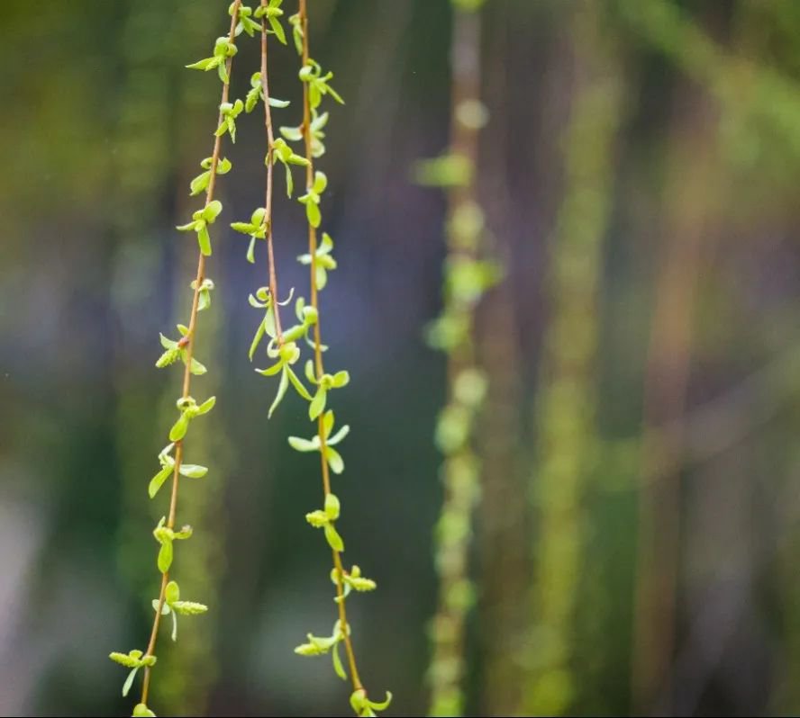 122cc太阳集成游戏(中国)有限公司官网