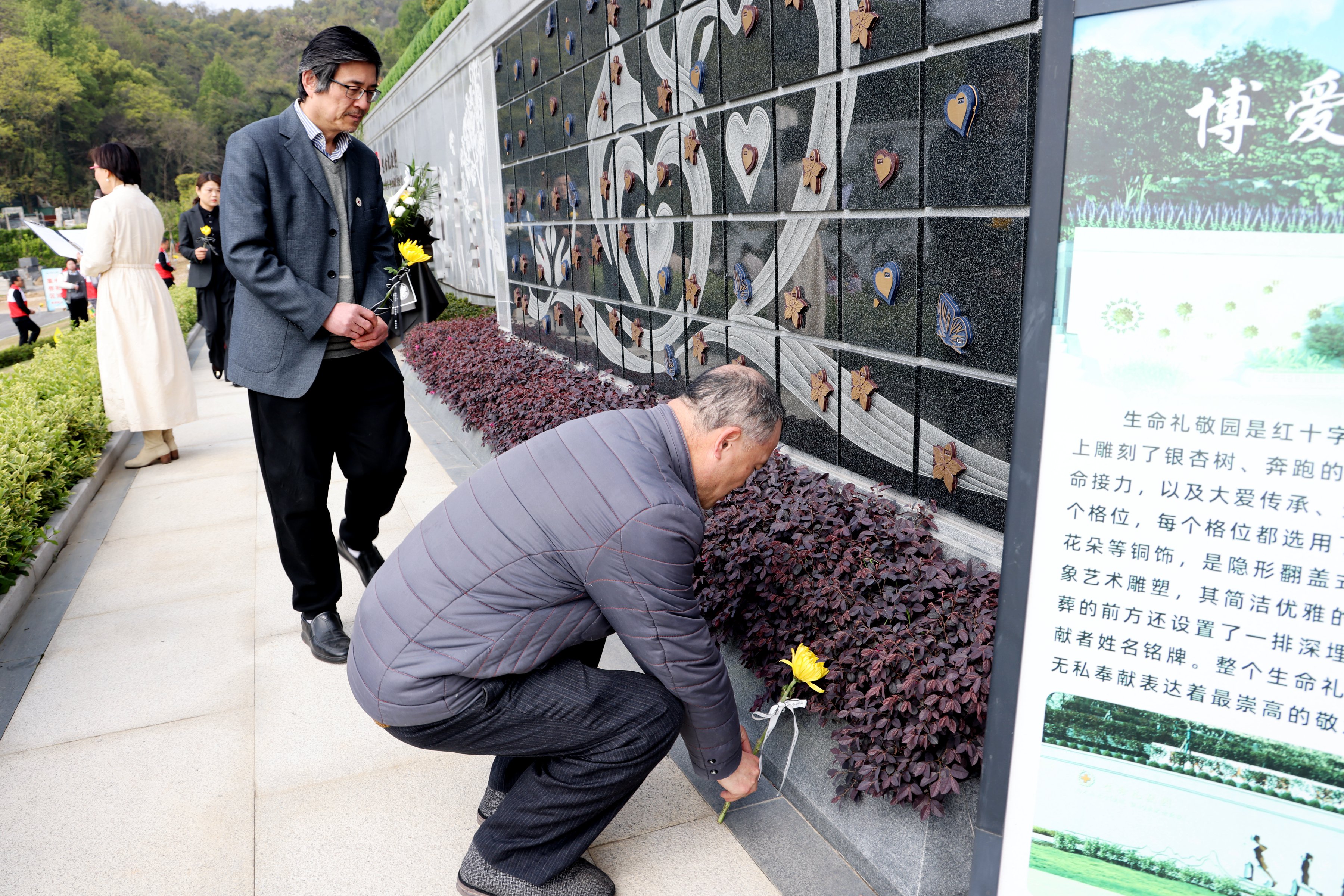 122cc太阳集成游戏(中国)有限公司官网