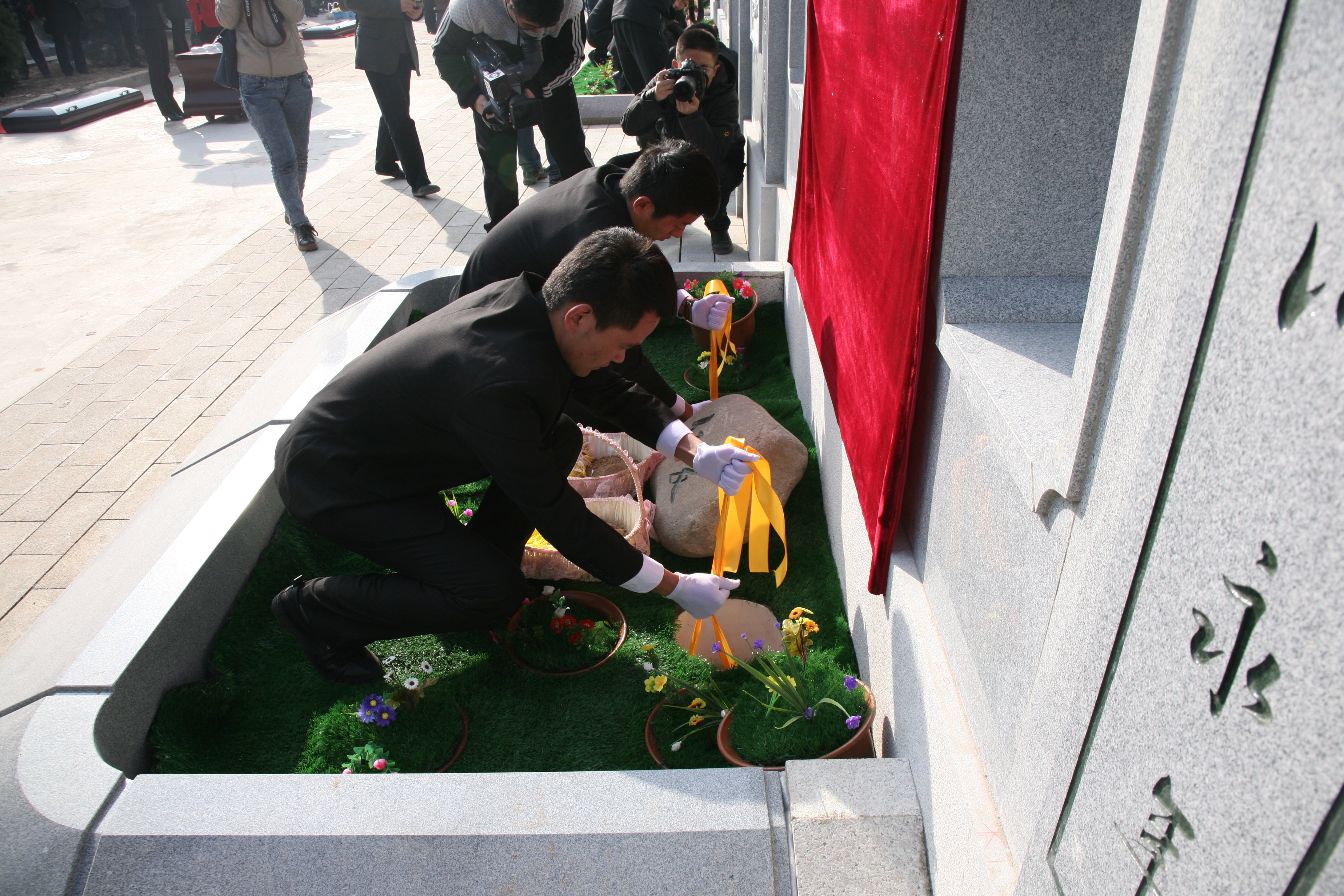 122cc太阳集成游戏(中国)有限公司官网