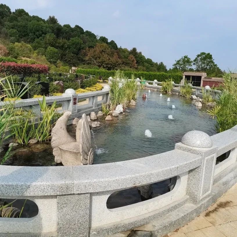 122cc太阳集成游戏(中国)有限公司官网