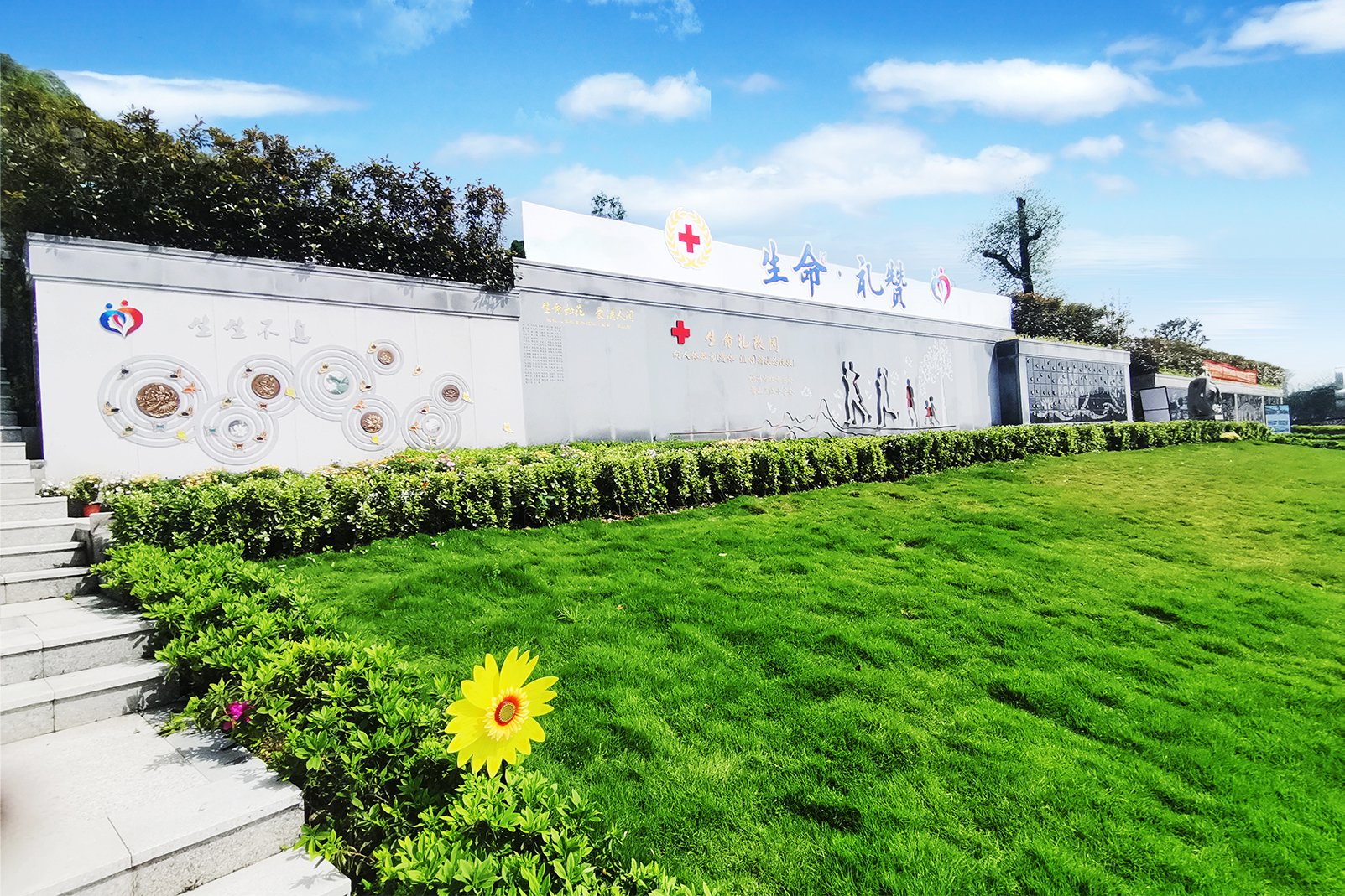 122cc太阳集成游戏(中国)有限公司官网